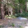 Campsite 3 - Under the Trees