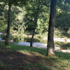creek side shade