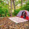 Riverside Oak camping site