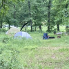 Wood Lot Tent Site