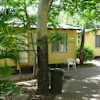 Garden Room Quad