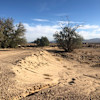 Dry Oasis Silver Valley