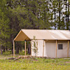 Luxury Safari Tent #2