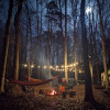 Private Forest Camper Retreat