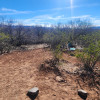 Private Desert Walk-In Camp Site