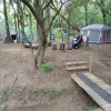 Primitive 1 tent sites