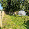 Country Bumpkins Luxury igloo