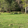 Wooded Meadow Family Campsite