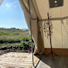 "Shiloh" - Wall Tent