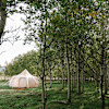 Luxury Bell Tent #1