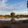 West Trunkey Camp Site