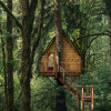 Hemlock Treehouse