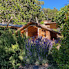 Tea House @ The Chessboard Land 