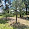 Site 2