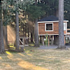 House in the trees with view