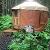 Yurt Grizzly Grotto