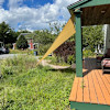 Milkweed & Catnip