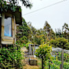 Wooden Cabin with forest and garden