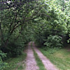 3 - Henry's Holler