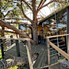 Phoenix Mountains Treehouse