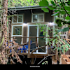 Sasqquatches’ Tree House on Creek 