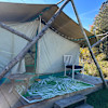 The Willow Tent