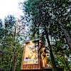 Bracken Cabin at Fernwood Hills