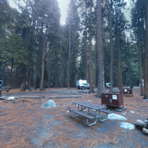 November is a perfect time to camp in Yosemite. The weather is moderate, the bugs & tourists are gone, campfires are more enjoyable & most roads are still open.