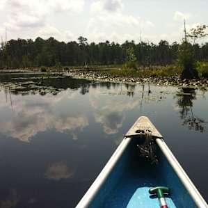 Goshen pond by canoe