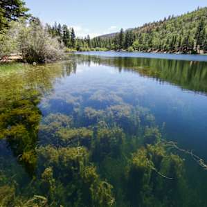 Jenks Lake is just a short hike away (45 min to 1 hour uphill trail), a must see.
