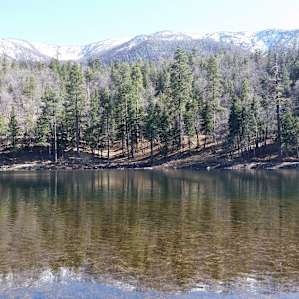 Jenks Lake