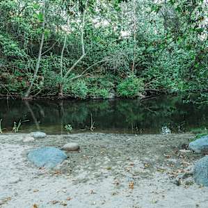 The North Fork of the Tule is usually great for swimming until late summer. Be sure to ask in advance.