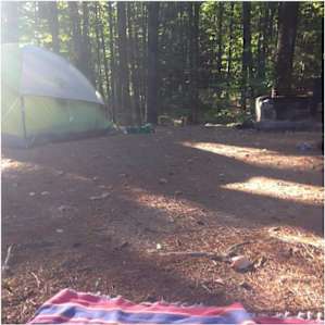 The campsites are large and private, sounded by trees and bushes. Each campsite has it's own grill pit and picnic table. The bathrooms aren't updated but satisfactory. Great location, close to the town of Phoenicia and Peekamoose Blue Hole.