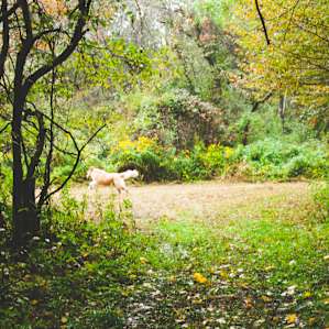 There's a clearing right before you reach the creek, which they said the'll put a fire pit in soon.