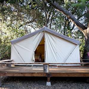 Branch Mill Organics Camping