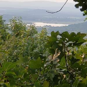 Heavener Runestone Park Cliff Site