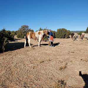 Las Sabinas Ranch