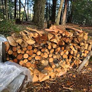Lots of wood available to use!