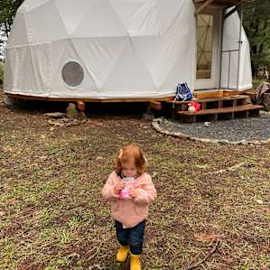 The dome