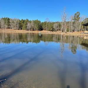Tiny house on seven arce pond