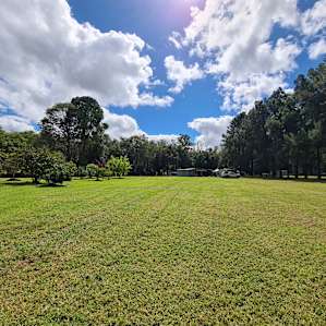 Wide, open grassy spaces await your arrival. Pick a spot to set up and make it your own