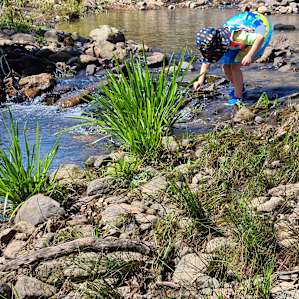 The creek provides numerous spots for kids to explore, with most areas only knee deep for the kids, and a swimming hole where they can get in deep