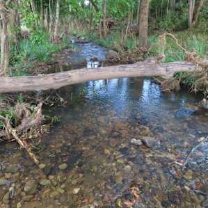 Crystal clear creek