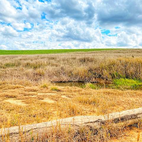 Oz Sky Ranch Camping