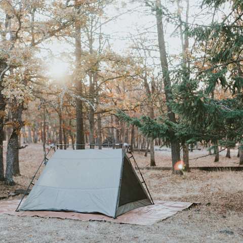 The 30 Best Campgrounds Near Dufur Oregon