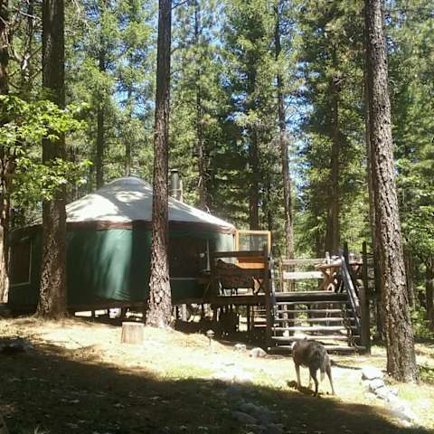 Yurts in olympic national park top