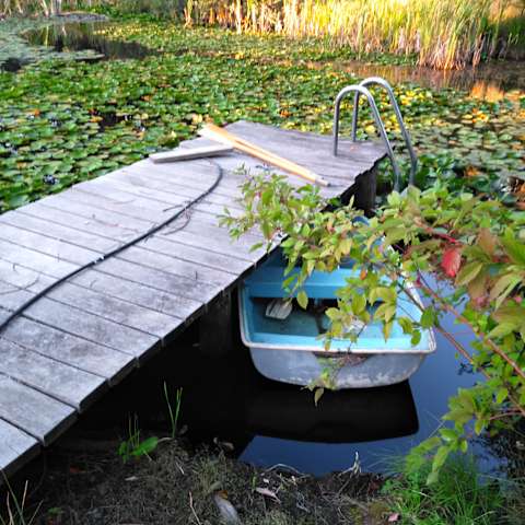 Mountain Homestead Yellow Room Simmonsville Ca 1 Hipcamper Review And 23 Photos