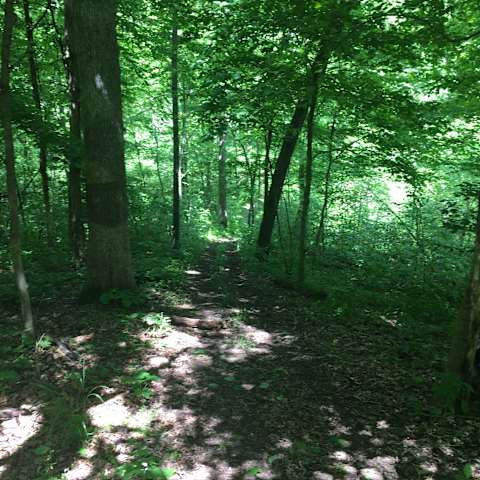 The 30 Best Campgrounds Near Centralia Illinois