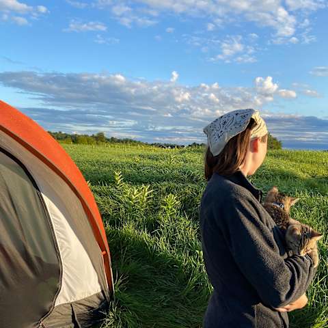 The 30 Best Campgrounds Near Chippewa Falls Wisconsin