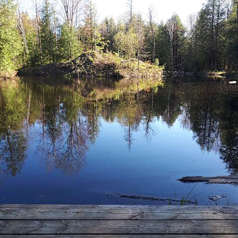 Best Camping In And Near Six Mile Lake Provincial Park
